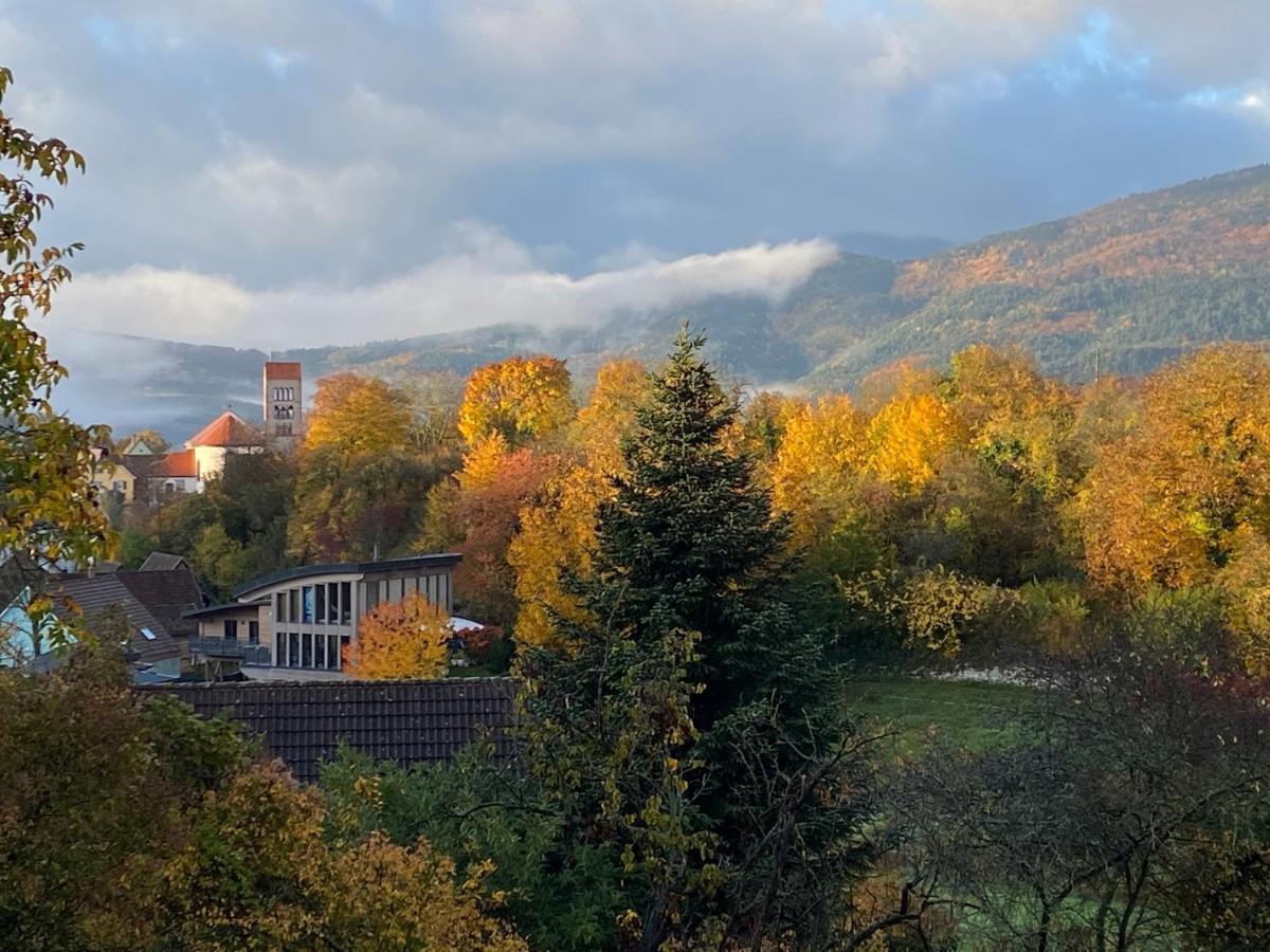 Le Moonloft Insolite Tiny-House Dans Les Arbres & 1 Seance De Sauna Pour 2 Avec Vue Panoramique Osenbach Eksteriør billede