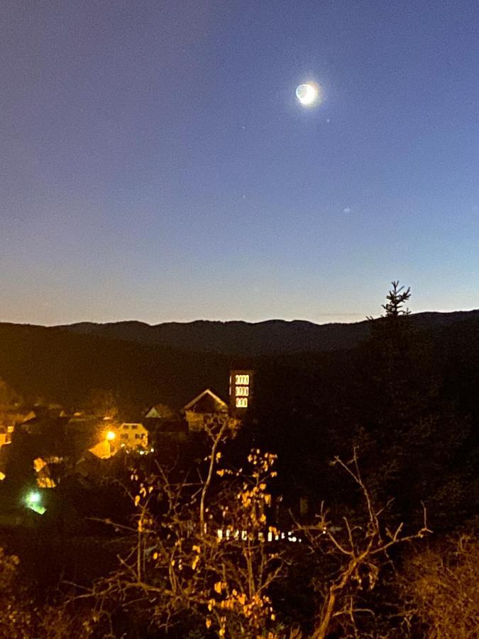 Le Moonloft Insolite Tiny-House Dans Les Arbres & 1 Seance De Sauna Pour 2 Avec Vue Panoramique Osenbach Eksteriør billede