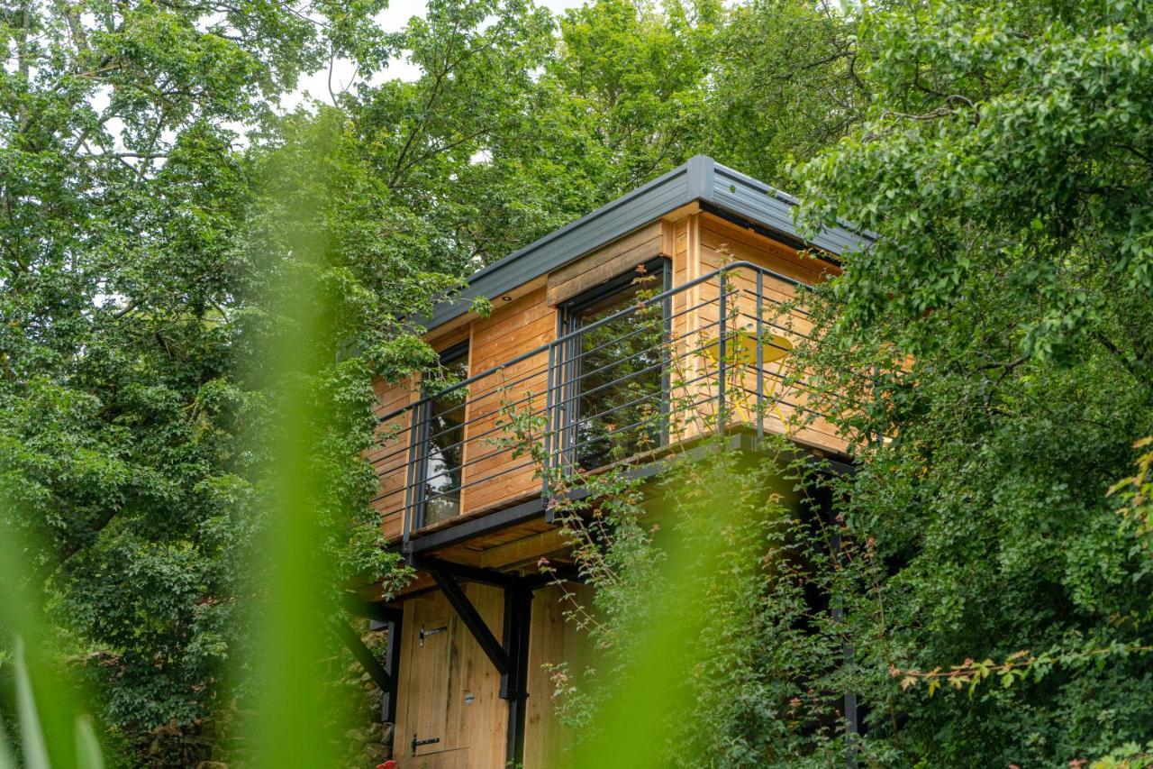 Le Moonloft Insolite Tiny-House Dans Les Arbres & 1 Seance De Sauna Pour 2 Avec Vue Panoramique Osenbach Eksteriør billede